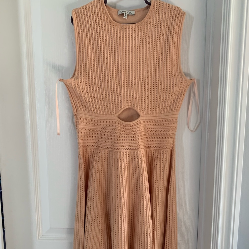 Ronny kobo dress